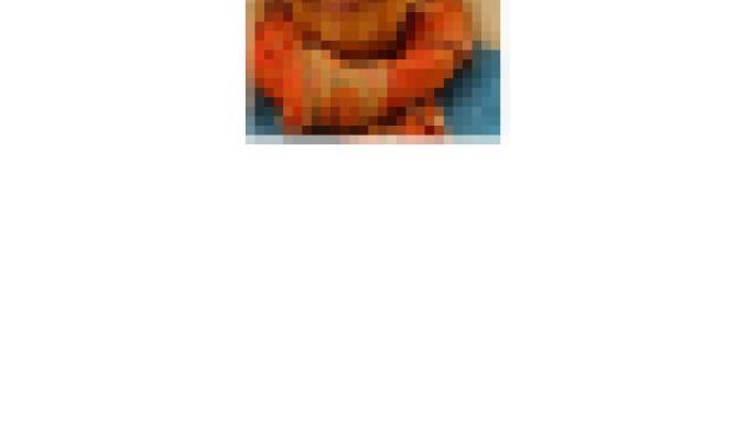 Blurred image for Ursula Fricke